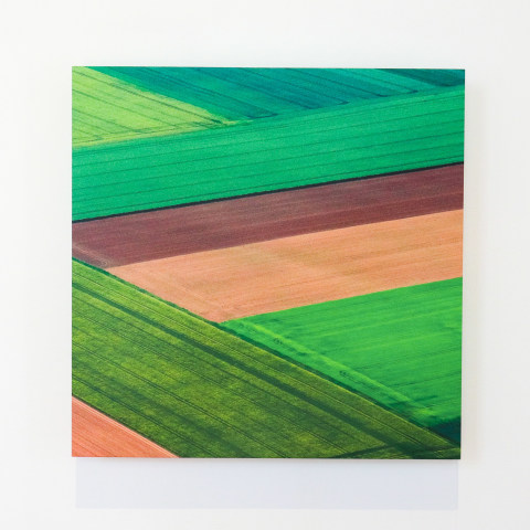 Elizabeth Thomson, Lateral Series - study IX, 2022