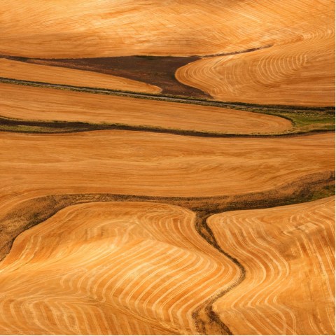 Elizabeth Thomson, Lateral Series – Habitable Zones : Between Memory and Oblivion , 2022