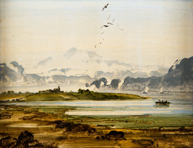 Boat and birds