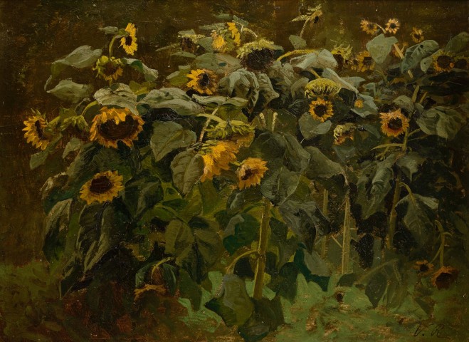 Sunflowers