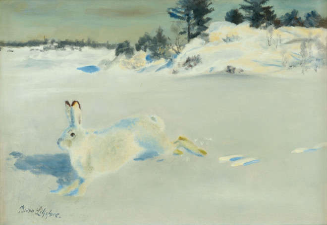 Winter hare