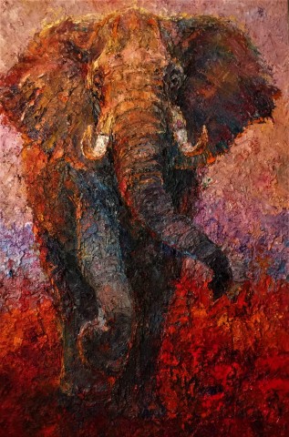 Lana Okiro, Elephant