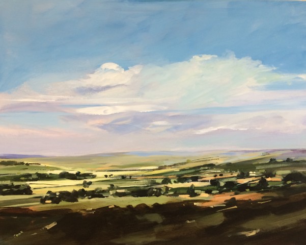 Colin Cook, Rosedale in summer