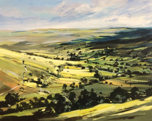 Colin Cook, Swaledale in the Summer