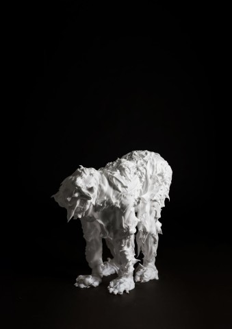 Marcus Coates, Fox Moth, Macrothylacia rubi (adult) Self Portrait, shaving foam, 2013