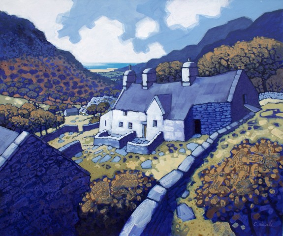 Chris Neale, Nantmor