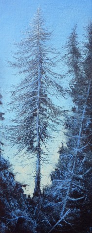 Gerald Dewsbury, Blue Tree