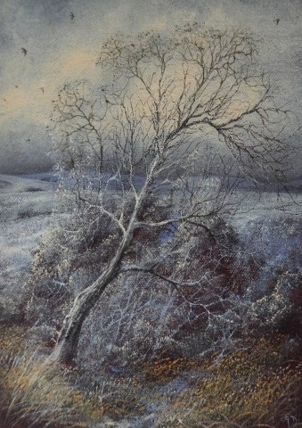 Gerald Dewsbury, Winter Bogwood Birch