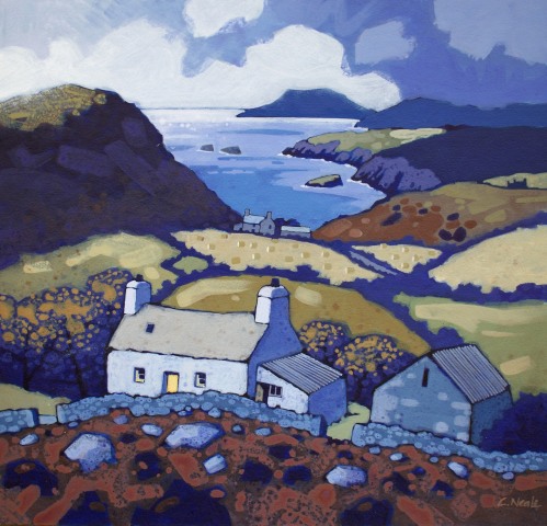 Chris Neale, Penarfynydd