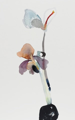 Susan Kane, Last of the Irises