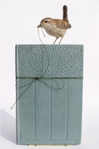 Dinny Pocock, Book Bird: Wren