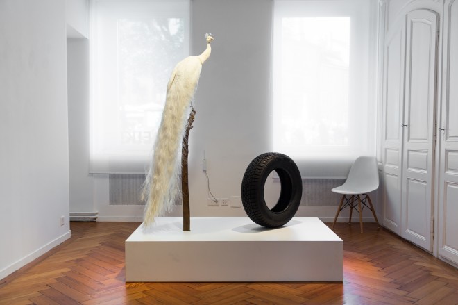 Sylvie Fleury, Color Lab Free study with White peacock, 2012  Taxidermy peacock, black Tyre and White pedestal  195 x 160 x 100 cm