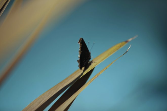 Untitled, 2013