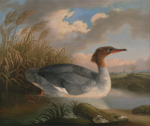 Untitled, 2013
