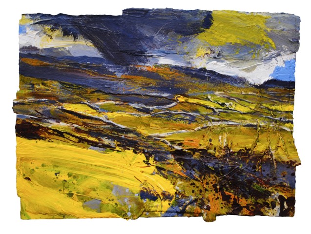 Buttercup Fields and Walls, near Settle, Yorkshire Dales  SOLD