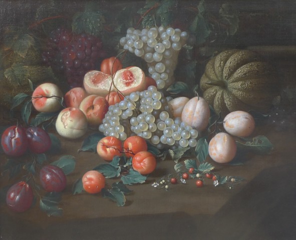 Johan Rosenhagen, Study of exotic fruits