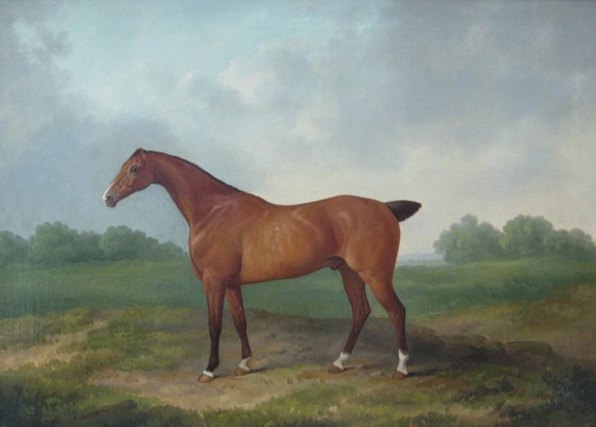 James Barenger, Race Horse (I of II)