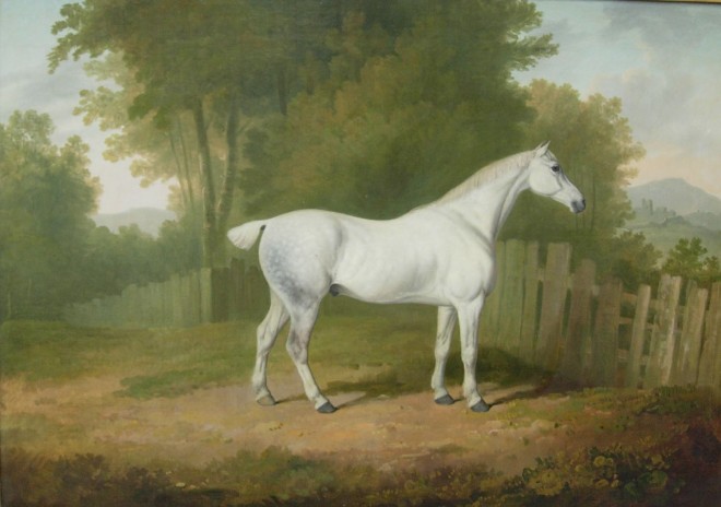 James Barenger, Race Horse (II of II)