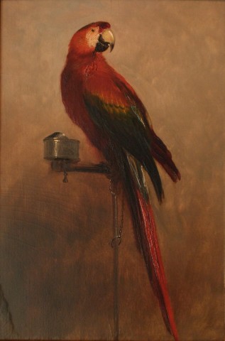 George Cole, Study of a Parrot