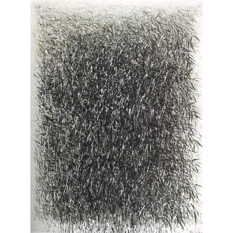 Fang Shao Hua, Bamboo Without Regulation - Rain Sound, 2012