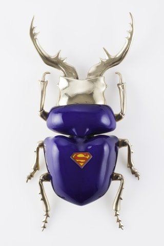 Matteo Pugliese, Allotopus Kal-Eli , 2013