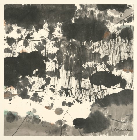 Bai Ming, Lotus in Light and Shadow , 2007