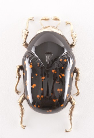 Matteo Pugliese, Anochilia ruber carcaris dentata, 2011
