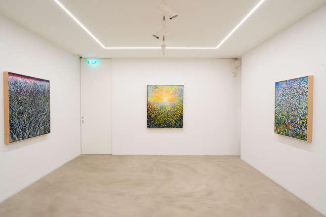 EEMIL KARILA | HARVESTING LIGHT  16.2. - 10.3.2024