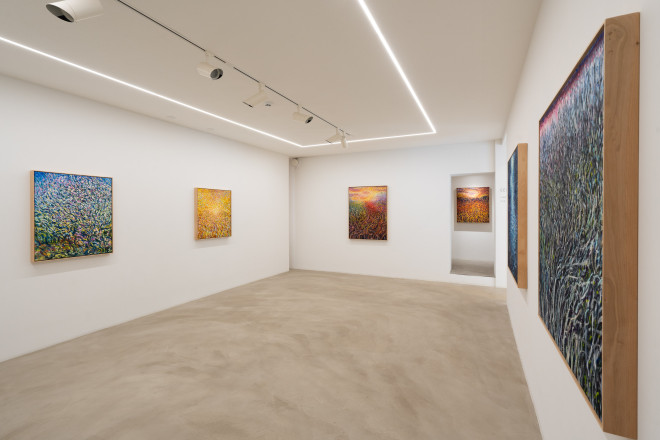 EEMIL KARILA | HARVESTING LIGHT  16.2. - 10.3.2024