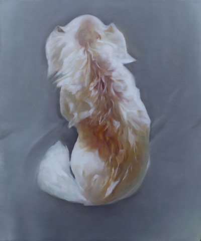 蒋华君 Jiang Huajun  你打搅了我 You Disturbed Me, 2016-2022