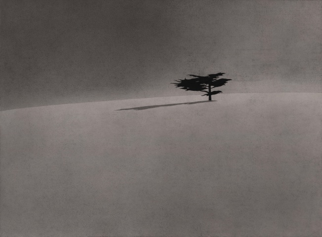 吴雪莲 WU Xuelian  树 · 五 Trees No.5, 2018