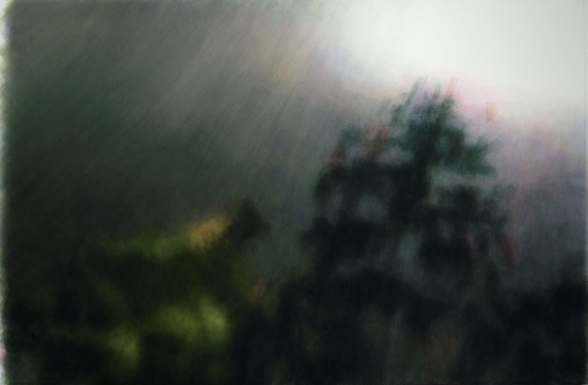 康海涛 KANG Haitao  紫薇花 Crape Myrtle, 2015-2023