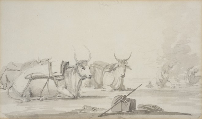 William Daniell R.A. (1769 - 1837), Bullocks , 1780-1790