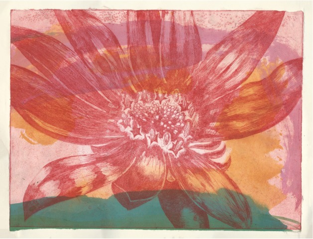 Ned Elliott Guest RWS  Starry Eyed Flower 2  etching with watercolour & gouache on paper  Frame: 42 x 52cm  £750
