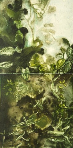 Noah Carter Guest RWS  Greenhouse II  watercolour on aquabord  Frame: 43 x 23cm  £400