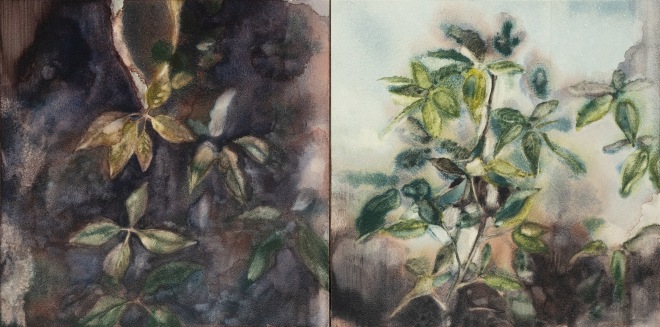 Noah Carter Guest RWS  Greenhouse  watercolour on aquabord  Frame: 23 x 43cm  £400