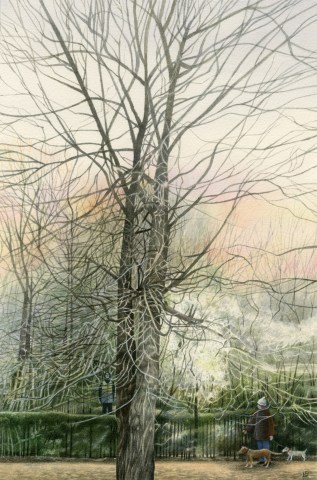 Liz Butler