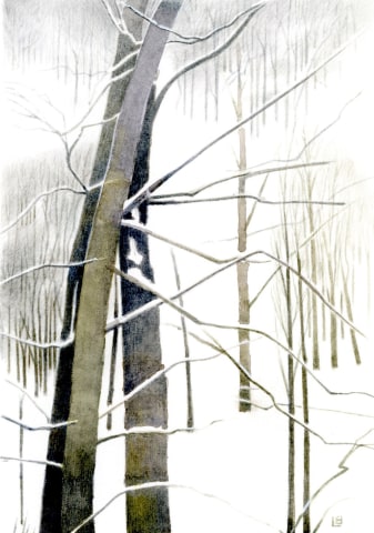Liz Butler