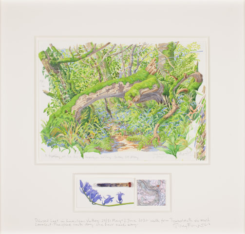 Tony Foster  Rewilding: Disused Leat · Luxulyan Valley · Mineral Extraction Ceased 1908, 2020  watercolour & graphite on paper, bluebell in a glass tube, cork, sealing wax, map  51 x 57cm