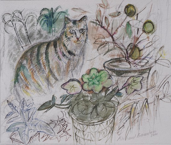 Richard Bawden, Christmas Rose