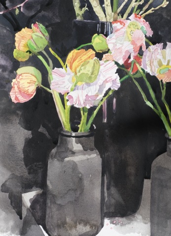 Mark Entwisle, Poppies