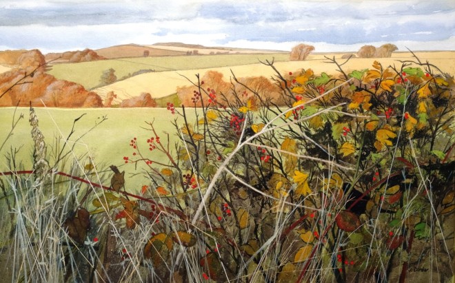 Jim Dunbar, Hawthorn and Brambles