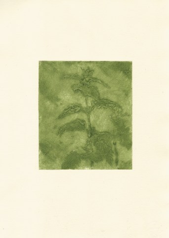 Greg Becker, Nettles
