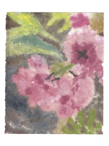 Ned Elliott, Cherry Blossom
