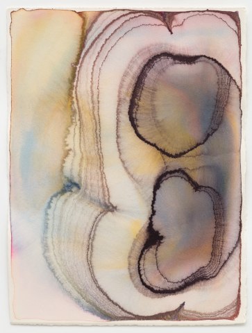 Barbara Nicholls, Perylene Edge