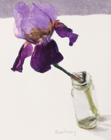 John Newberry, Iris