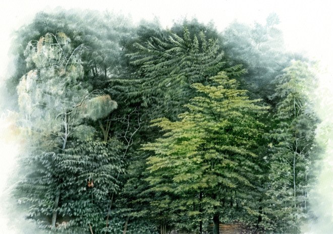 Liz Butler, The View from my Studio, Summer.