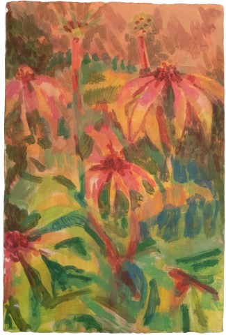 Caroline Cornelius, Kim's Knee High (Echinacea)