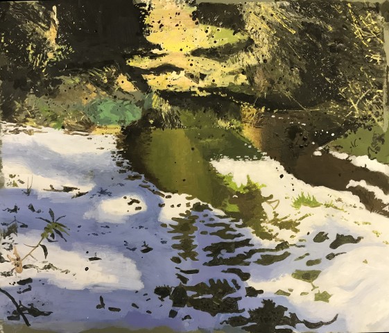 Iain Nicholls, Drax Forest Dorset - Winter Study 1