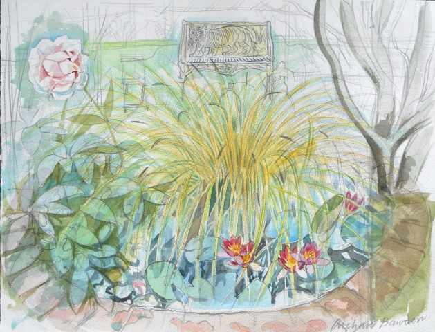 Richard Bawden, Water Lillies